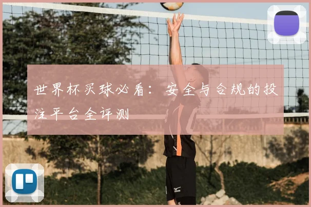 世界杯买球必看：安全与合规的投注平台全评测