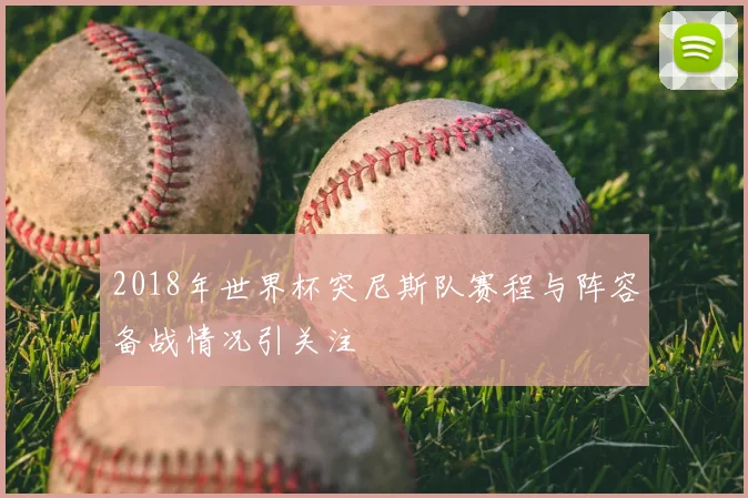 2018年世界杯突尼斯队赛程与阵容备战情况引关注