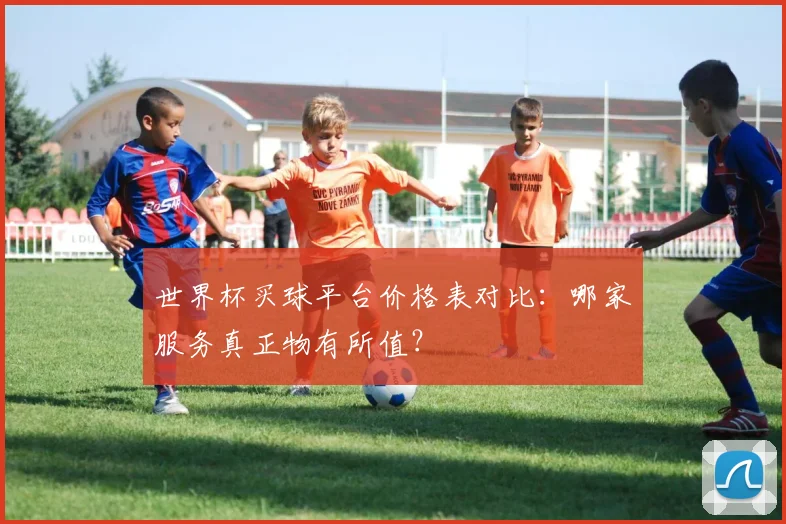 世界杯买球平台价格表对比：哪家服务真正物有所值？