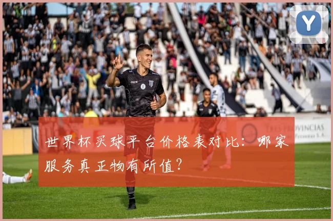 世界杯买球平台价格表对比：哪家服务真正物有所值？