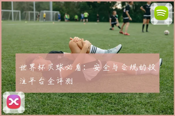 世界杯买球必看:安全与合规的投注平台全评测