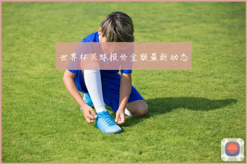 世界杯买球报价金额最新动态