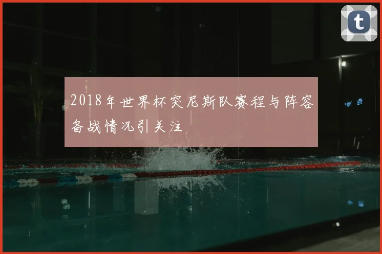 2018年世界杯突尼斯队赛程与阵容备战情况引关注