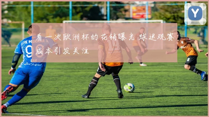 看一次欧洲杯的花销曝光 球迷观赛成本引发关注