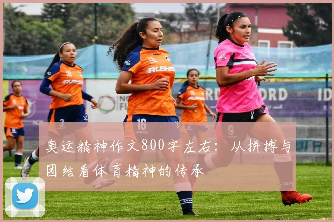 奥运精神作文800字左右：从拼搏与团结看体育精神的传承