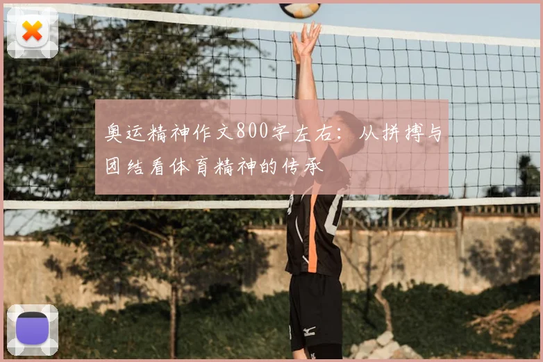 奥运精神作文800字左右：从拼搏与团结看体育精神的传承