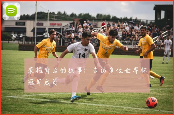 荣耀背后的故事：专访多位世界杯冠军成员