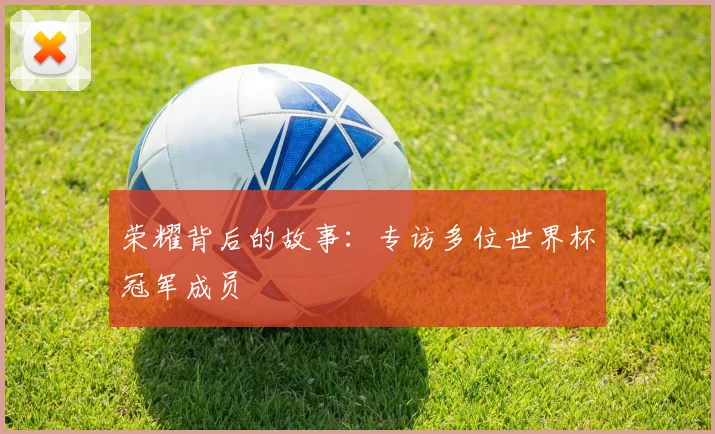 荣耀背后的故事：专访多位世界杯冠军成员