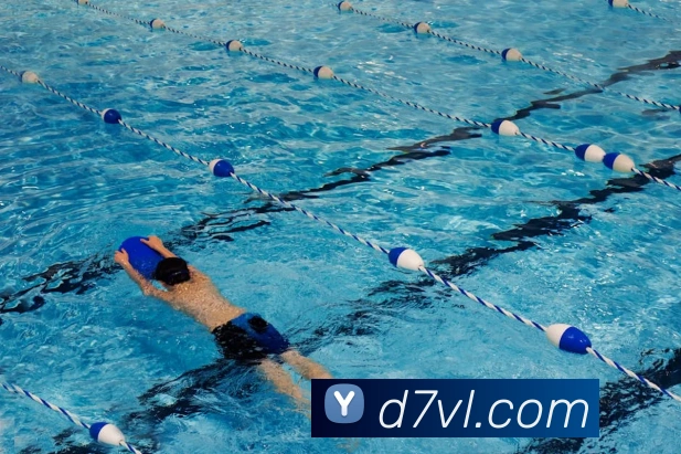 云开体育官网登录入口平台生态图