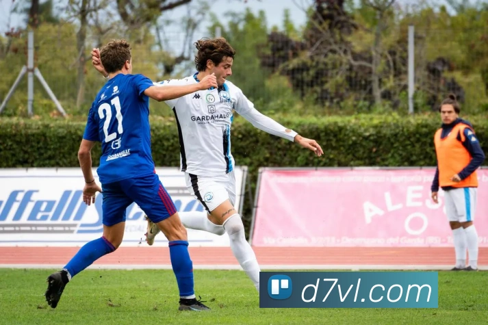 辅助工具 辅助工具